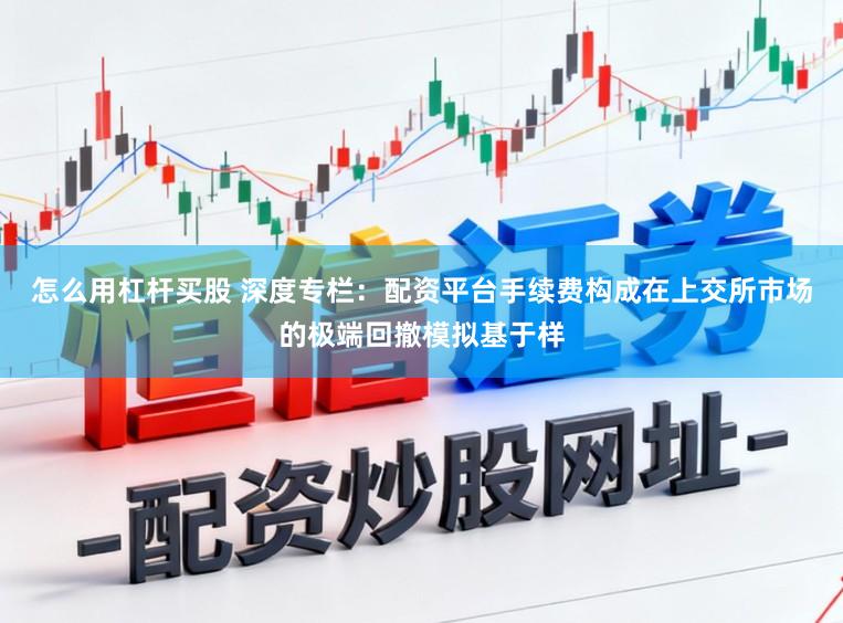 怎么用杠杆买股 深度专栏：配资平台手续费构成在上交所市场的极端回撤模拟基于样