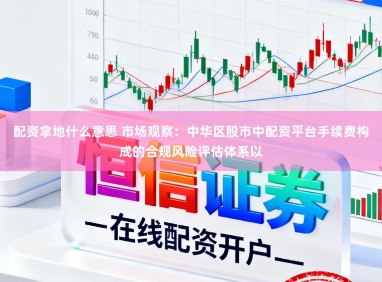 配资拿地什么意思 市场观察:中华区股市中配资平台手续费构成的合规风险评估体系以
