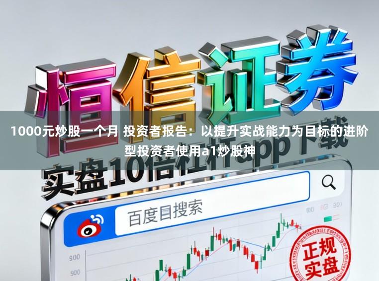 1000元炒股一个月 投资者报告:以提升实战能力为目标的进阶型投资者使用a1炒股神