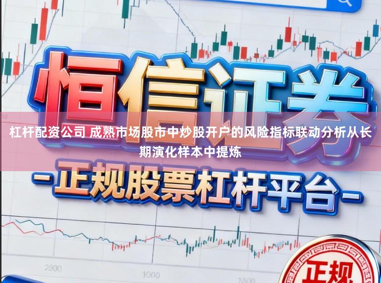 杠杆配资公司 成熟市场股市中炒股开户的风险指标联动分析从长期演化样本中提炼