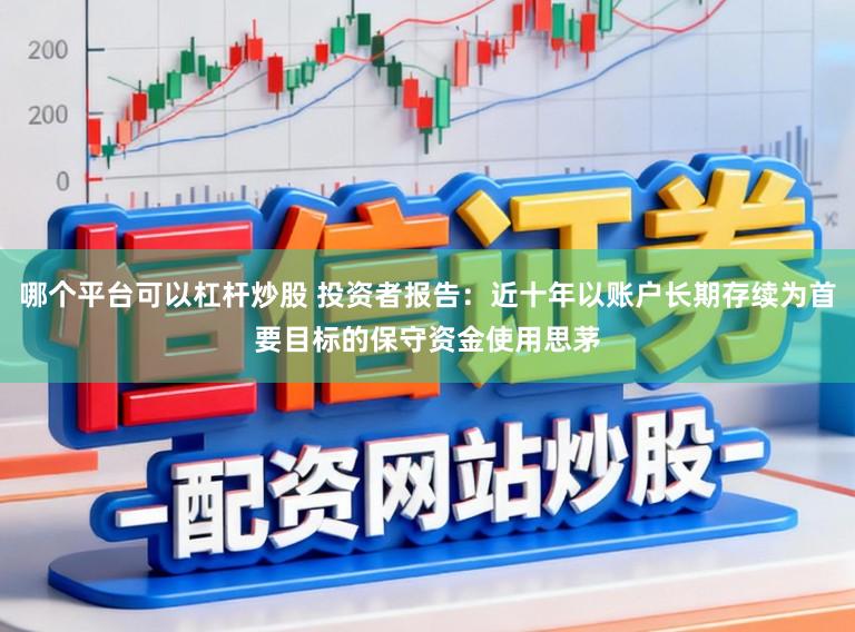哪个平台可以杠杆炒股 投资者报告：近十年以账户长期存续为首要目标的保守资金使用思茅