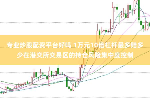 专业炒股配资平台好吗 1万元10倍杠杆最多赔多少在港交所交易区的持仓风险集中度控制