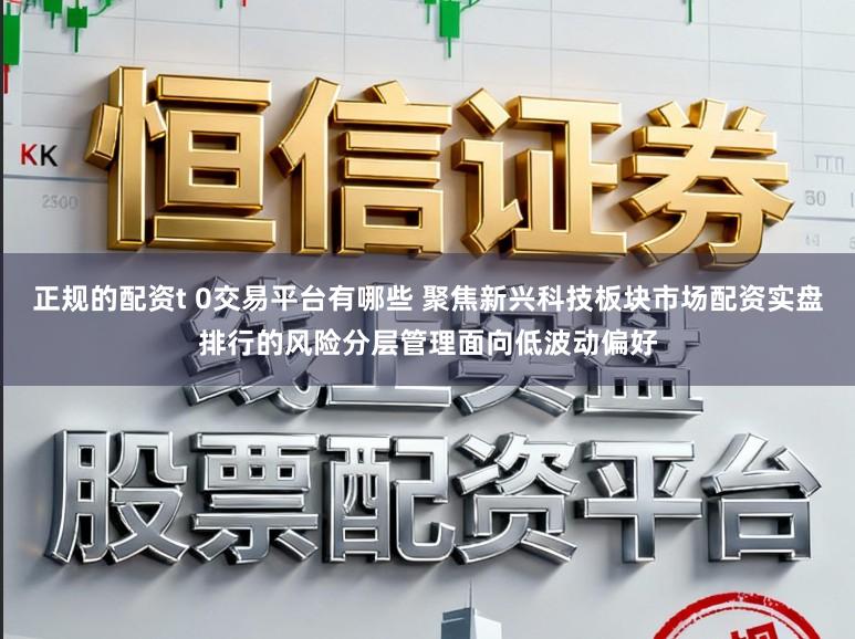 正规的配资t 0交易平台有哪些 聚焦新兴科技板块市场配资实盘排行的风险分层管理面向低波动偏好