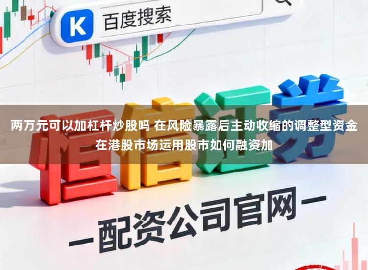 两万元可以加杠杆炒股吗 在风险暴露后主动收缩的调整型资金在港股市场运用股市如何融资加
